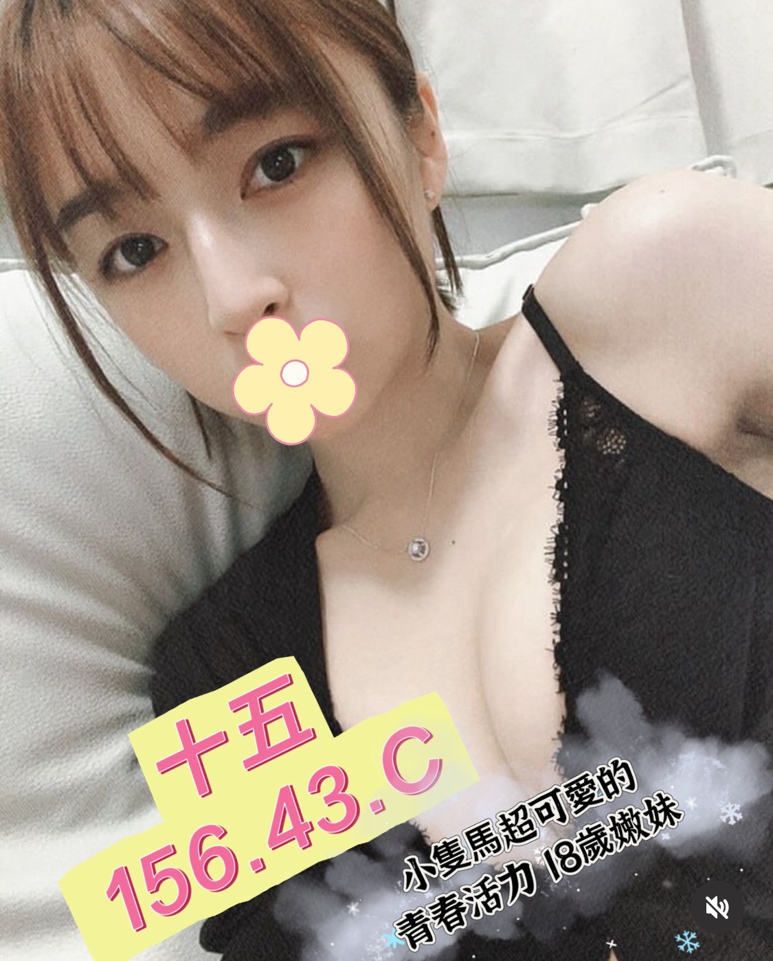 /image/apiImages/master/3049_20250915.jpg?v=202601080652