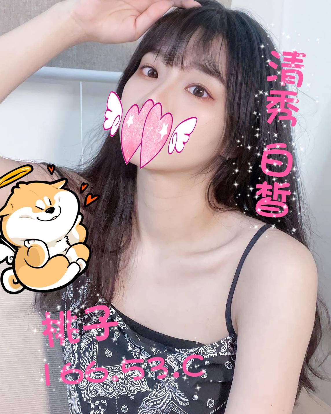 /image/apiImages/master/3981_20250915.jpg?v=202601100234