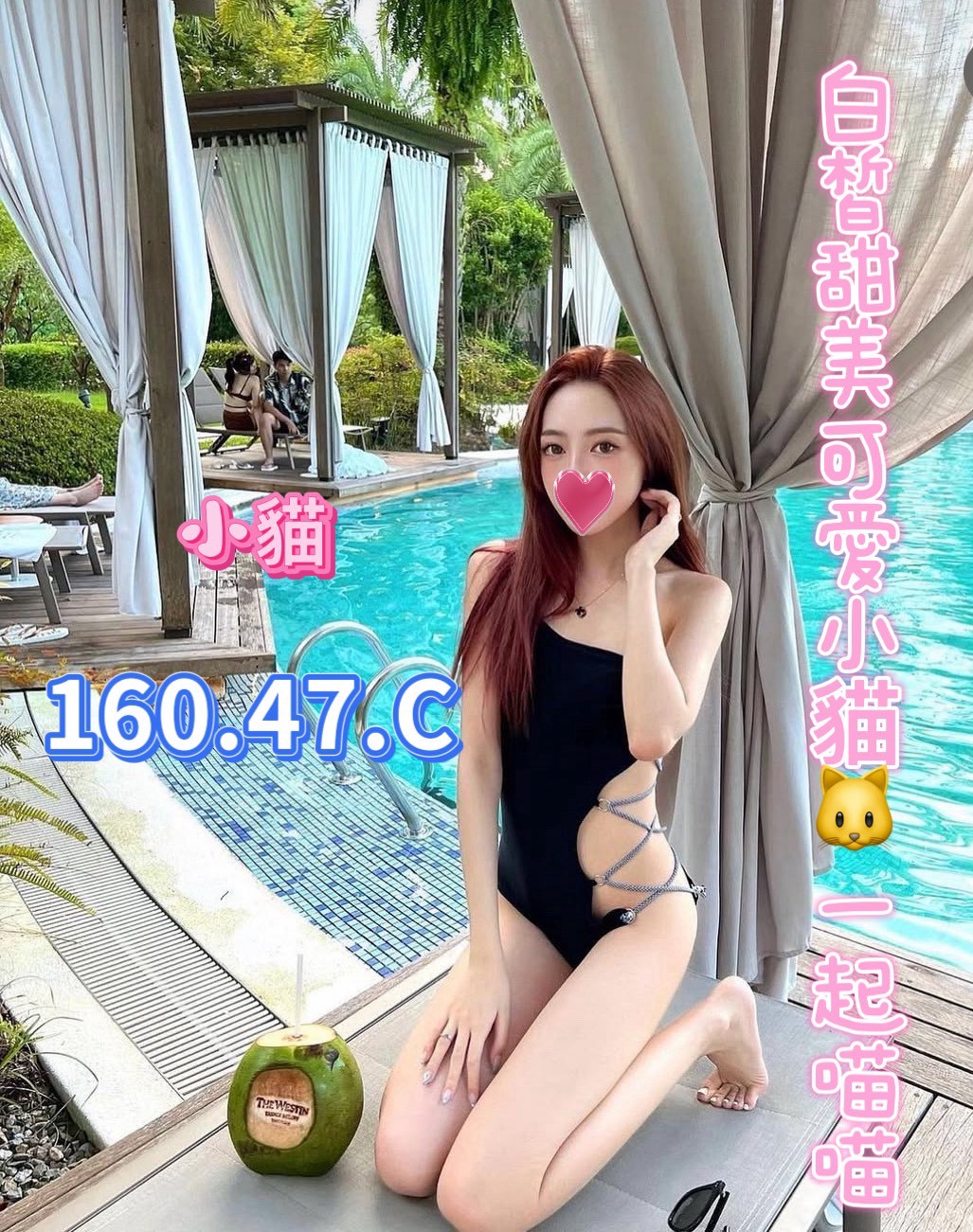 /image/apiImages/master/5286_202512071103.jpg?v=202601192216