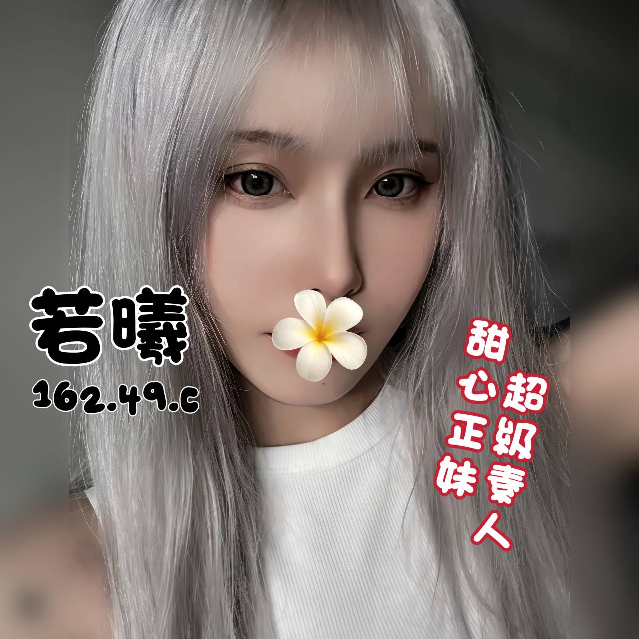 /image/apiImages/master/5782_202601281516.jpg?v=202602101527